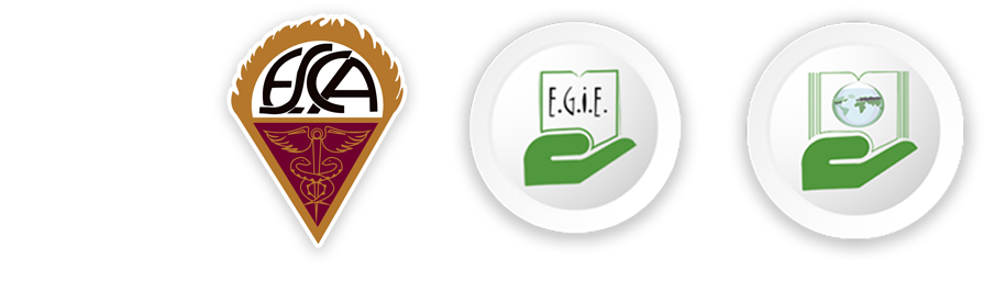 Maestria en Educación MAGDE